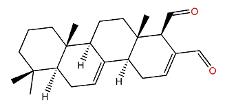 Mooloolabene A